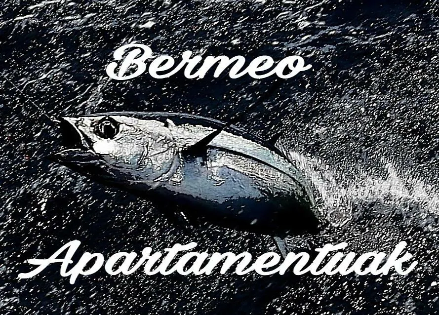 דירה Apartamentos-ברמאו